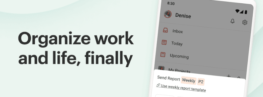 Todoist: Planner & Calendar